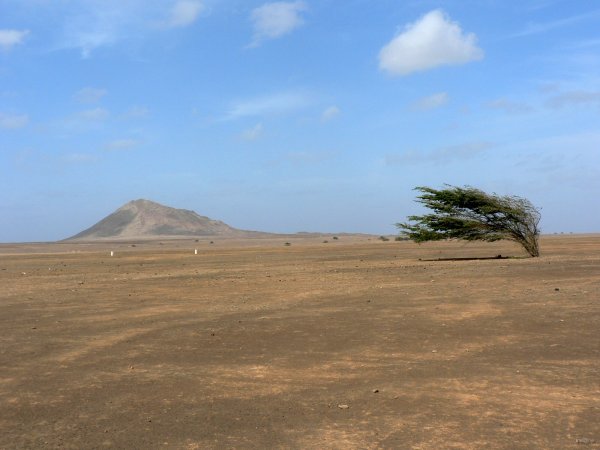 34- Paysage vente et poussiereux de Sal 